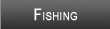 Laurel River Lake Fishing